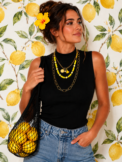 Collier Citrus plus